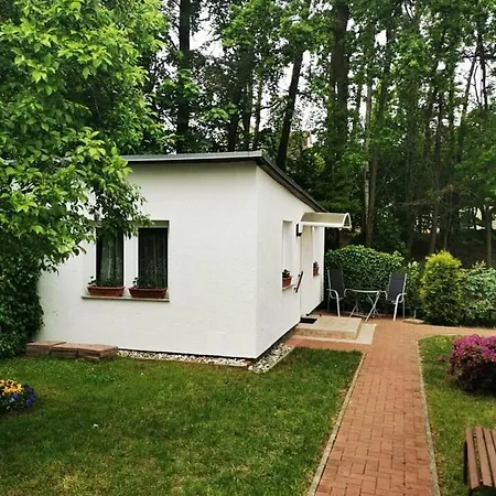 Ferienbungalow Im Igelbau Baabe